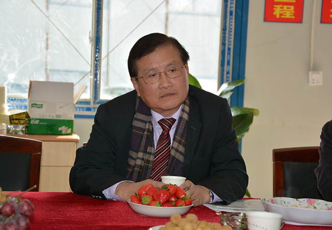 洪澤縣領(lǐng)導參觀(guān)臺家大廈項目工地